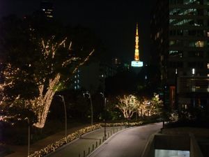 イルミネーション４.jpg