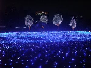 イルミネーション５.jpg