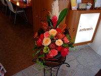 DSCF4735.jpg