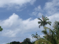 DSCF5205.jpg