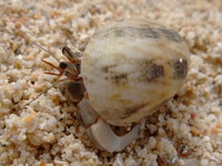 DSCF5206.jpg
