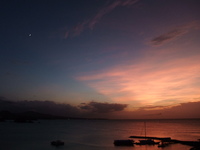 DSCF5249.jpg