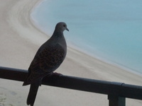DSCF5277.jpg