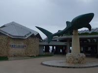 DSCF5500.jpg