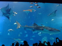DSCF5503.jpg