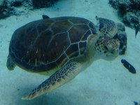 DSCF5501.jpg