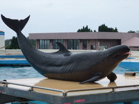 DSCF5506.jpg