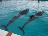 DSCF5507.jpg