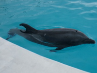 DSCF5508.jpg