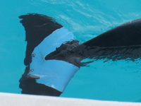 DSCF5509.jpg