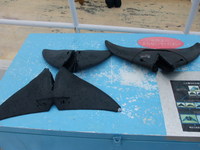 DSCF5510.jpg