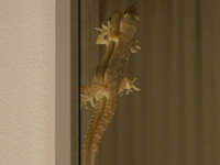 DSCF5601.jpg