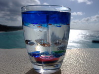 DSCF5675.jpg