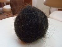 DSCF6367.jpg