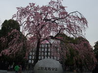 DSCF9710.jpg