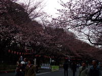 DSCF9713.jpg