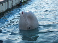 DSCF0804.jpg
