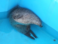 DSCF0809.jpg
