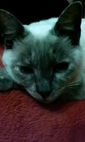 201101011549000.jpg