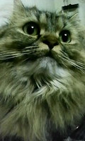 201101011551000.jpg