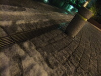 DSCF4309.jpg