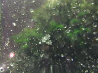 DSCF4376.jpg