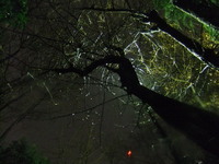 DSCF4322.jpg