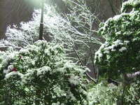 DSCF4412.jpg