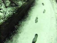 DSCF4413.jpg