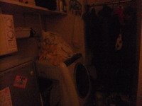 DSCF5166.jpg