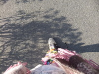 DSCF7191.jpg