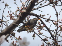 DSCF7123.jpg