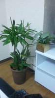 110519_004551.jpg