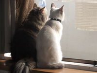 DSCF2026.jpg