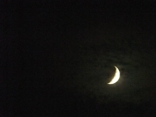 DSCF9590.jpg