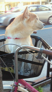 201112041506001.jpg