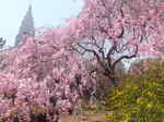 DSCF0382.jpg