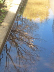 201204120824001.jpg