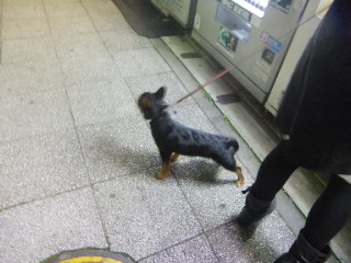 DSCF0571.jpg